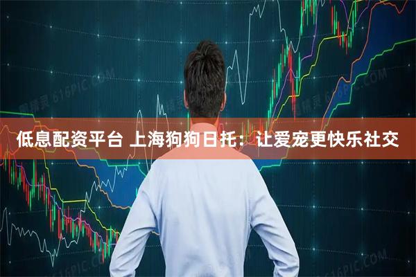低息配资平台 上海狗狗日托:让爱宠更快乐社交